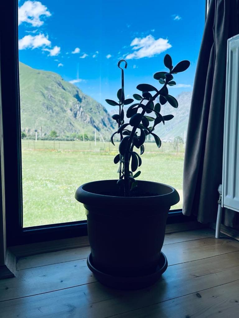 Quiet Cottage, Stepantsminda, Achkhoti Buitenkant foto
